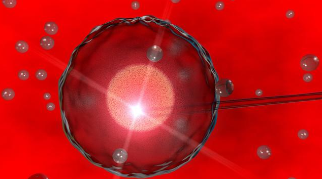 凍卵受孕成功率高嗎 凍卵需要進行幾次療程