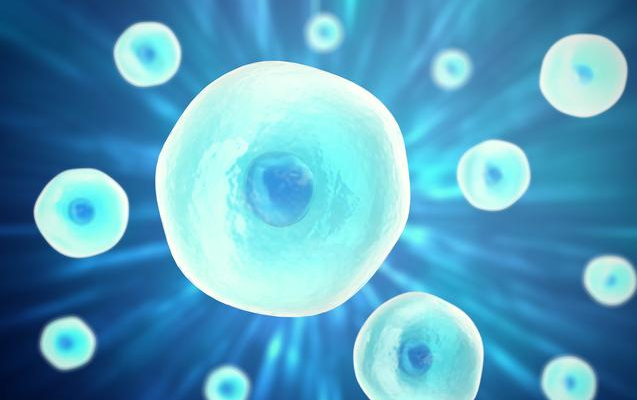 凍卵受孕成功率高嗎 凍卵需要進行幾次療程