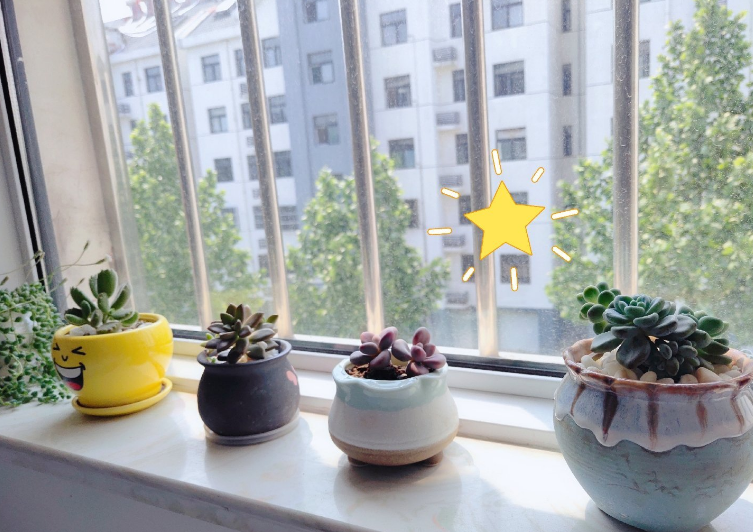 心情好的朋友圈說說 好心情好天氣寫個說說怎么寫