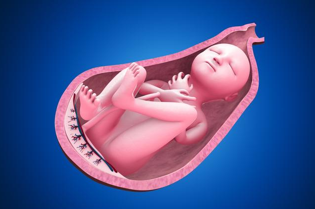 單角子宮能自然受孕嗎 單角子宮懷孕可能會出現哪些問題