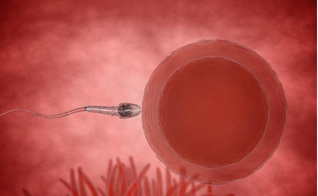 女翻男和男翻女是怎么回事 誰(shuí)決定的孩子的性別