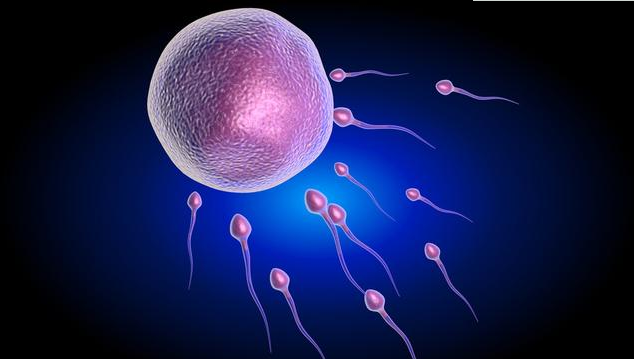 試管嬰兒最多能做多少次 造成試管嬰兒多次失敗的原因 試管嬰兒最多能做多少次 造成試管嬰兒多次失敗的原因