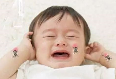 蚊子為什么總愛咬寶寶 物理防蚊的方法有那些
