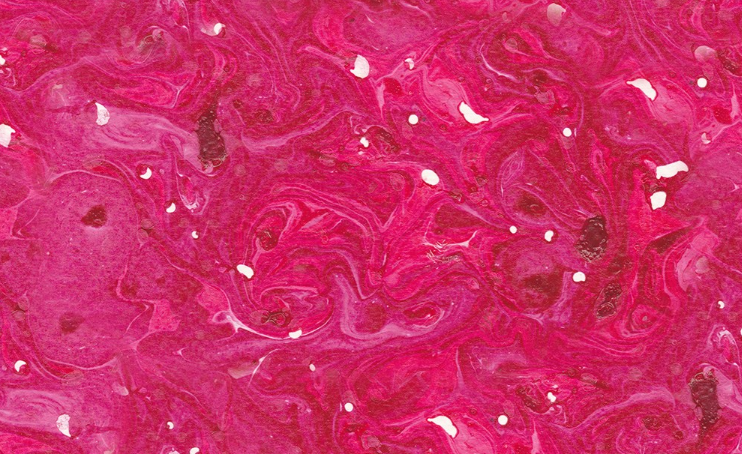 補鐵吃紅棗能補血嗎 怎么能有效的補血