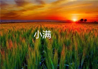 今日小滿早安心語 今日小滿朋友圈說說配圖