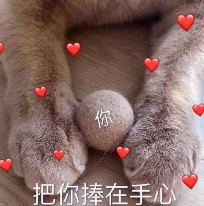 520搞笑表情包大全 適合發朋友圈520表情包 520搞笑表情包大全 適合發朋友圈520表情包