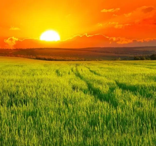 今日小滿早安心語 今日小滿朋友圈說說配圖 今日小滿早安心語 今日小滿朋友圈說說配圖