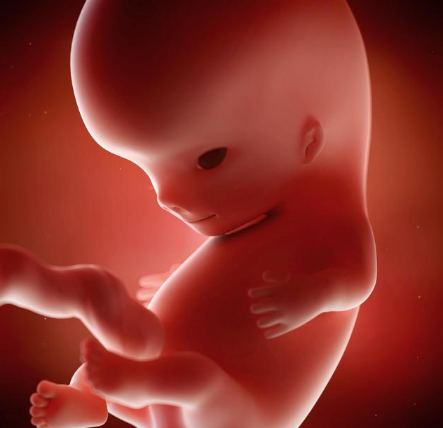 夜里胎動頻繁正常嗎 胎動異常的兩種表現