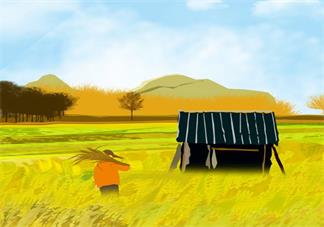 小滿節氣怎么養生 小滿節氣吃什么東西比較好