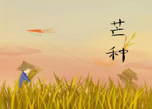 2019幼兒園芒種活動報道 幼兒園芒種活動簡報 2019幼兒園芒種活動報道 幼兒園芒種活動簡報