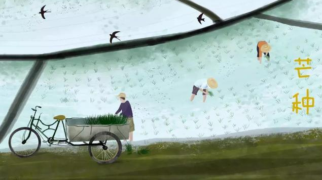 2019幼兒園芒種活動報道 幼兒園芒種活動簡報 2019幼兒園芒種活動報道 幼兒園芒種活動簡報