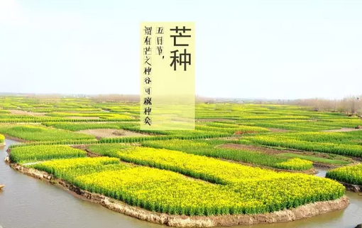 芒種養生吃什么 2019芒種養生傳統食物