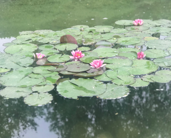 早上帶娃的有趣說說 早上出來遛娃的說說句子