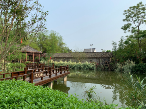 關于夏天蟬鳴的說說 夏天有蟬鳴的句子