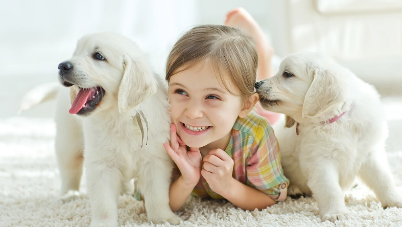 為什么孩子會得尿路感染 孩子尿路感染治得好嗎 為什么孩子會得尿路感染 孩子尿路感染治得好嗎