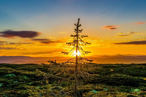 今天好熱心情發(fā)朋友圈說說 天氣真熱心情說說短語