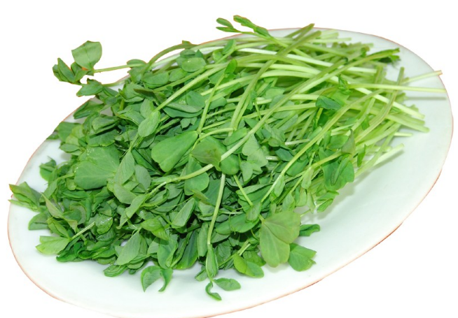 什么時候孩子最適合吃素 孩子什么時候適合吃得清淡些