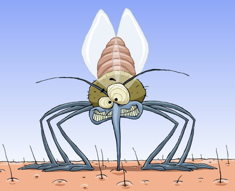 用什么防止蚊蟲叮咬孩子比較好 蚊蟲多怎么避免被咬