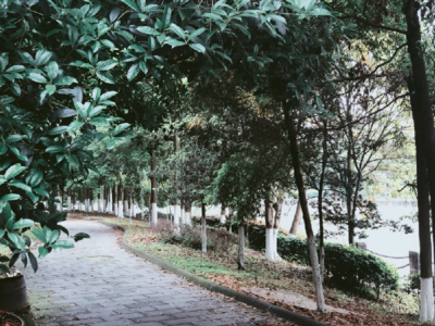 懷念青春年少的句子 懷念逝去的青春的句子語(yǔ)錄