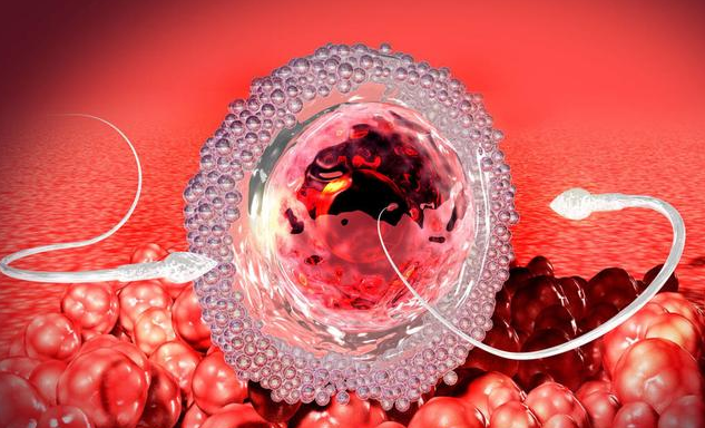 哪些女性更容易得宮頸癌 早期宮頸癌怎么治療