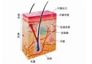 孩子為什么會長痱子 孩子的痱子有哪幾種