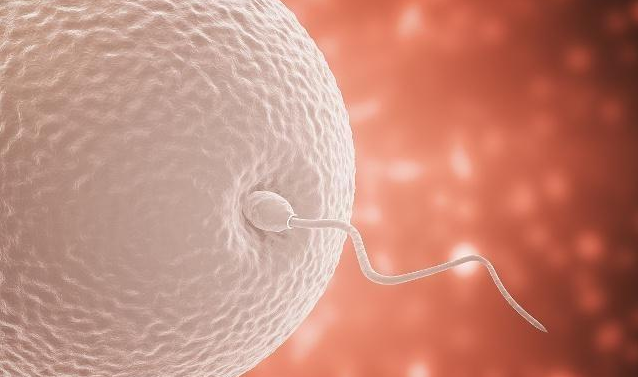 備孕為什么提前三個(gè)月 備孕前要注意什么