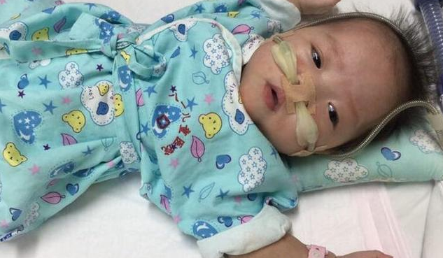 巴掌寶寶小清媱出院 河南巴掌寶寶最新消息