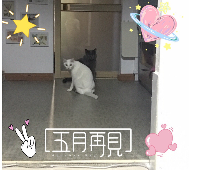 五月再見心情感慨 再見五月應該發(fā)什么東西比較好