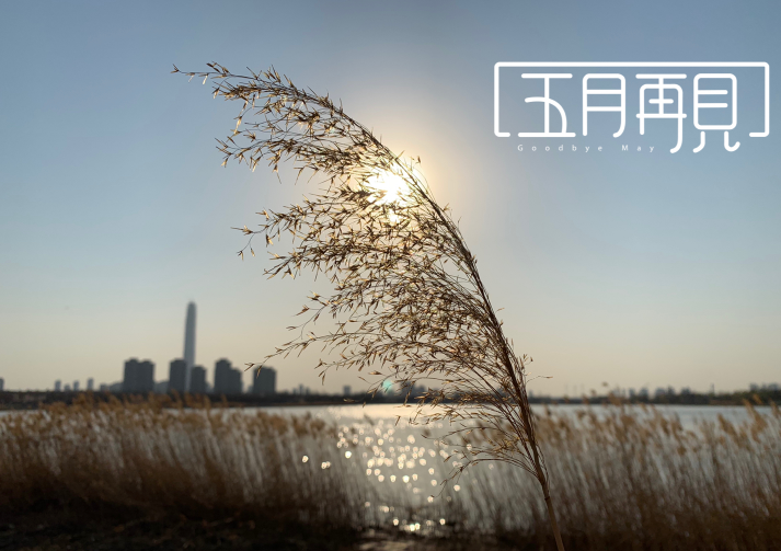 2019五月再見說說朋友圈 關于五月再見句子說說