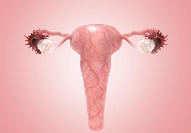 白帶發(fā)黃是什么原因 白帶發(fā)黃有哪些癥狀