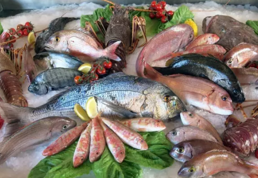 寶寶吃魚能變聰明嗎 寶寶吃魚要注意什么 寶寶吃魚能變聰明嗎 寶寶吃魚要注意什么