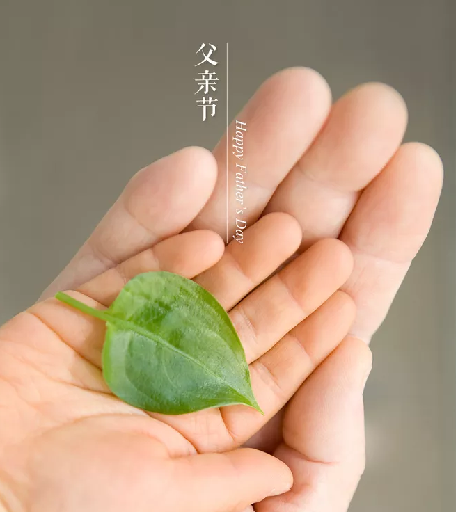 2019幼兒園父親節活動教案 幼兒園父親節活動方案 2019幼兒園父親節活動教案 幼兒園父親節活動方案