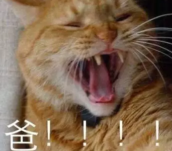 父親節(jié)可愛專屬表情包2019 父親節(jié)快樂套路爸爸表情圖