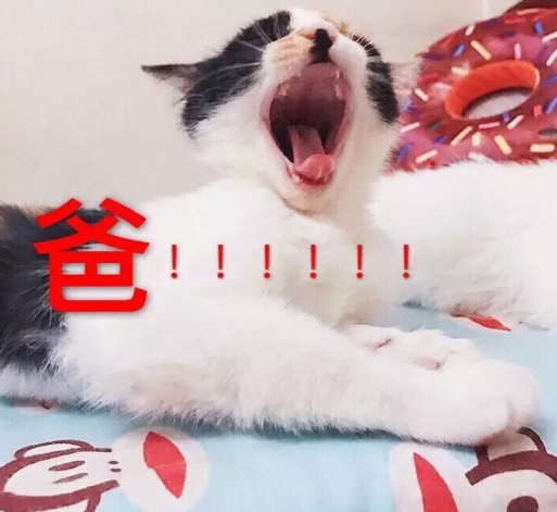 父親節(jié)可愛專屬表情包2019 父親節(jié)快樂套路爸爸表情圖