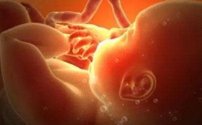 2019年6月14日受孕生男生女 農歷五月十二懷孕是男孩還是女孩