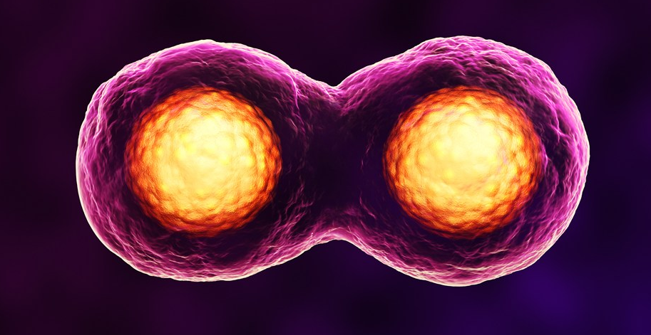 做試管是不是一定不會宮外孕 宮外孕是不是做試管嬰兒就能避免
