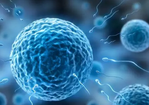 男性精子活力低有哪些表現(xiàn) 精子活力低能懷孕嗎