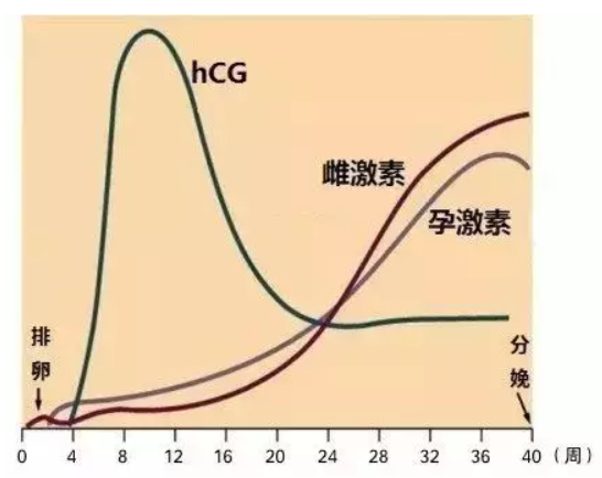 吃孕激素孕酮還是低怎么辦 孕酮低一定要孕酮嗎