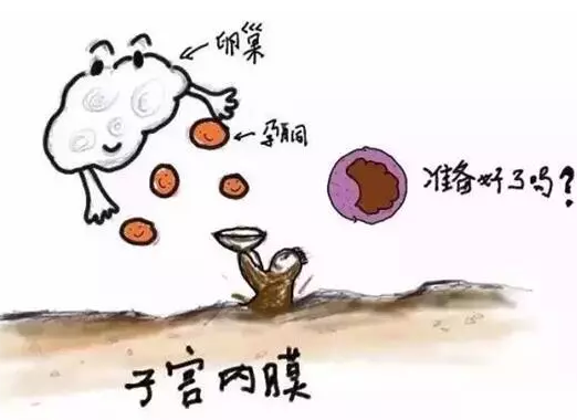 吃孕激素孕酮還是低怎么辦 孕酮低一定要孕酮嗎