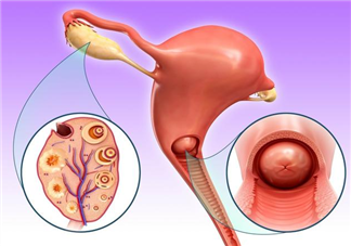 卵巢功能衰退還能自然懷孕嗎 怎么判斷卵巢功能好不好
