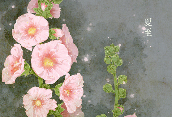 2019今日夏至說說朋友圈 今日夏至配圖圖片