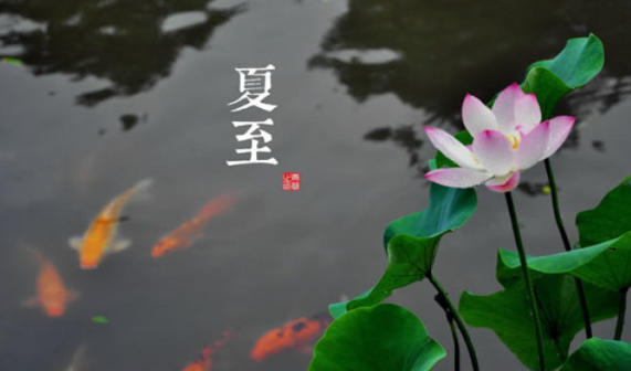 2019今日夏至說說朋友圈 今日夏至配圖圖片