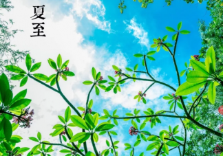 2019今日夏至發說說句子 夏至朋友圈配圖說說大全