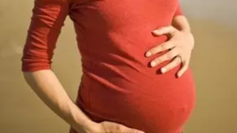 備孕排卵期如何安排同房 排卵期怎么安排同房次數