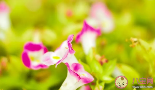 女性排卵期身體會有哪些癥狀 女性排卵期是什么時候