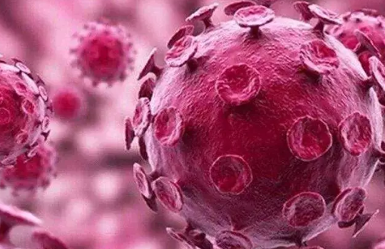 備孕檢查HPV有必要嗎 備孕檢查HPV感染怎么辦