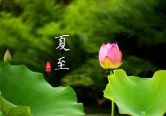 2019夏至到來了的說說 立夏節氣到了句子短語