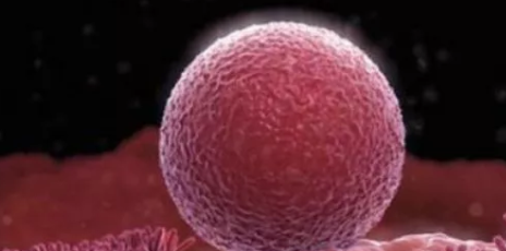 排卵期沒懷孕正常嗎 排卵期沒懷孕是身體有病嗎