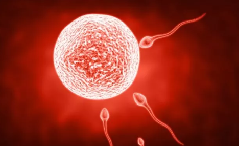 排卵期沒懷孕正常嗎 排卵期沒懷孕是身體有病嗎