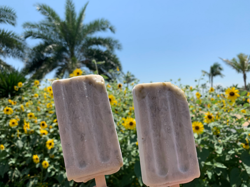 去海邊被曬黑說說 去海邊曬黑了心情感慨